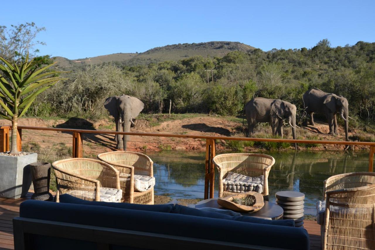 Barefoot Addo Elephant Lodge エクステリア 写真
